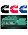 CUMMINS - USA Mỹ